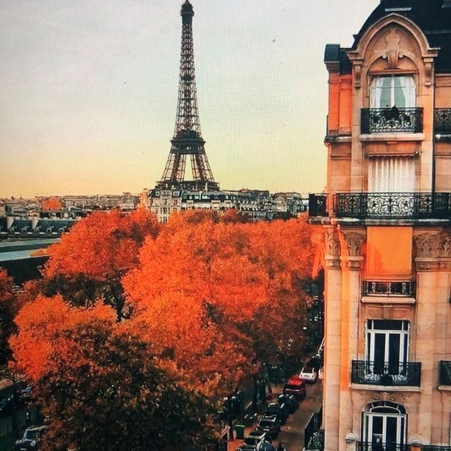 Automne, je t'aime 🍂🧡🍂🧡 